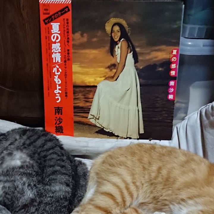 F0e79b70 c032 455a a9d8 0ae81705f5de 1591186698862