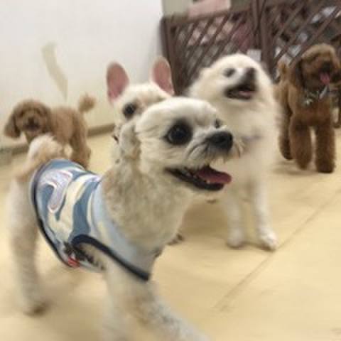 F0e7cbdb 6fb4 4433 8b38 3026052c4046 1535107308875