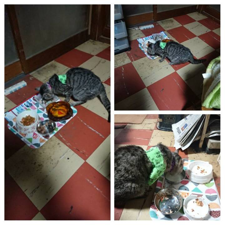 F0e7f41b 2bb4 495b b83a 01cb2a59ead0 1587069277999