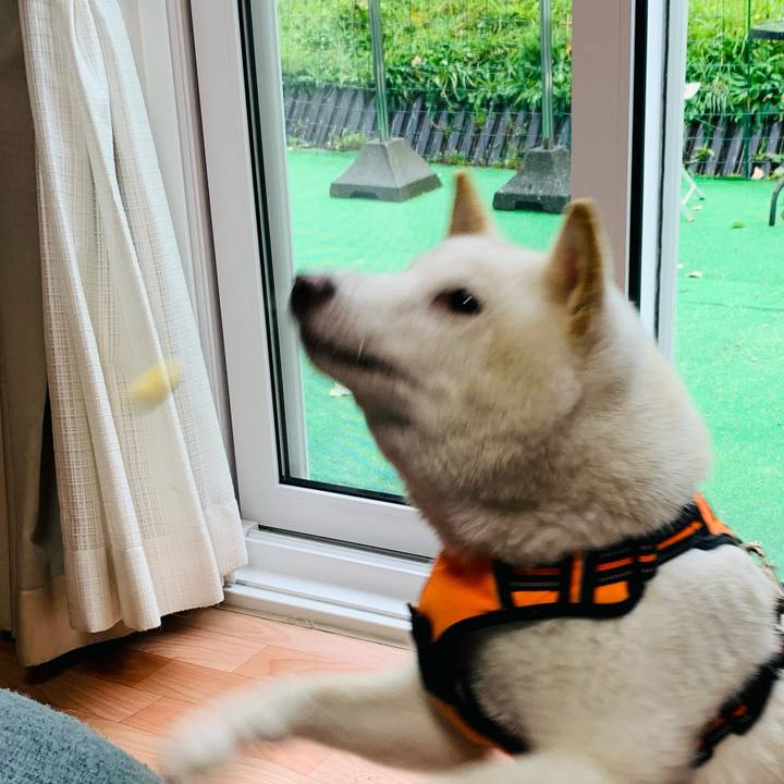 F0e7ff69 828e 443b b704 c9b57e1e40b9 1665404714036