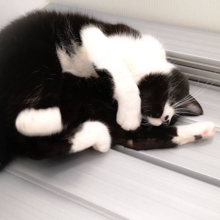 F0e81814 4eab 4862 aa35 4ee48a100995 1545930421716