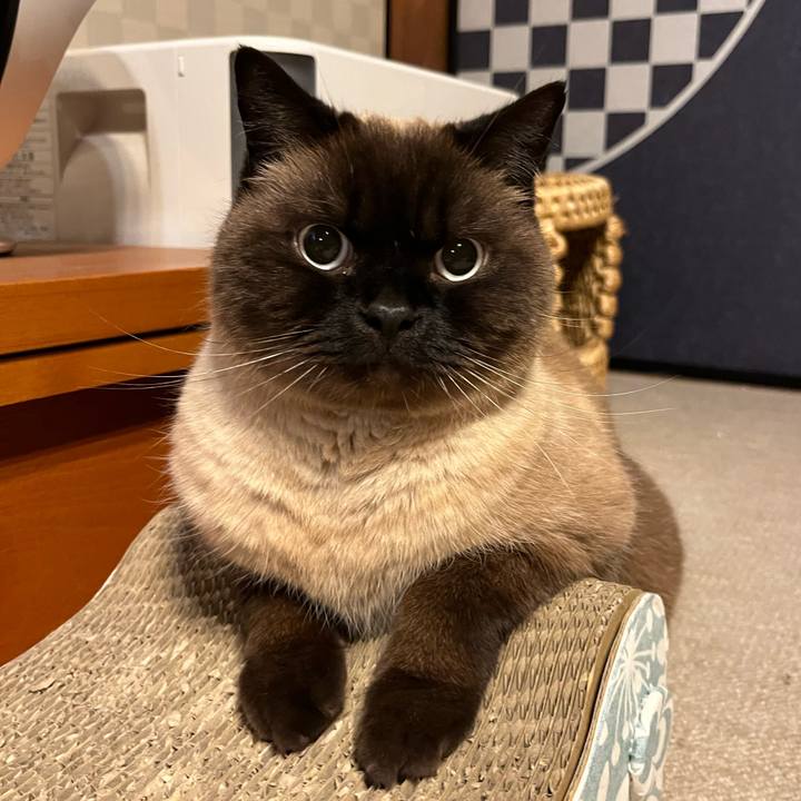 F0e8198f 8fb3 4cc8 9e1d d3c8600a3b29 1745233341373