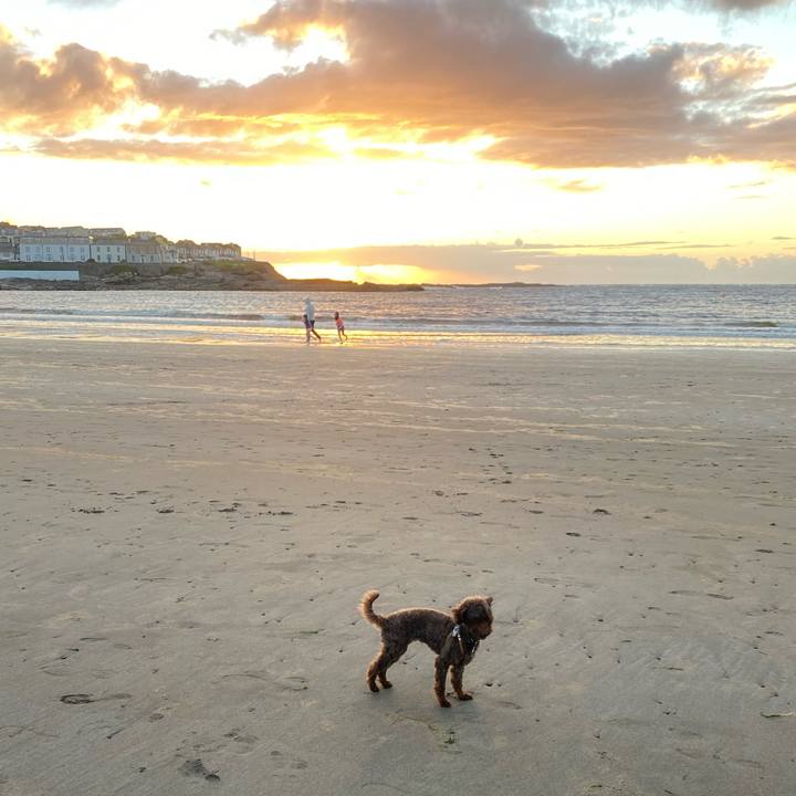 F0e83541 13f2 4fbb 8017 7e7c5873ebca 1598647880774