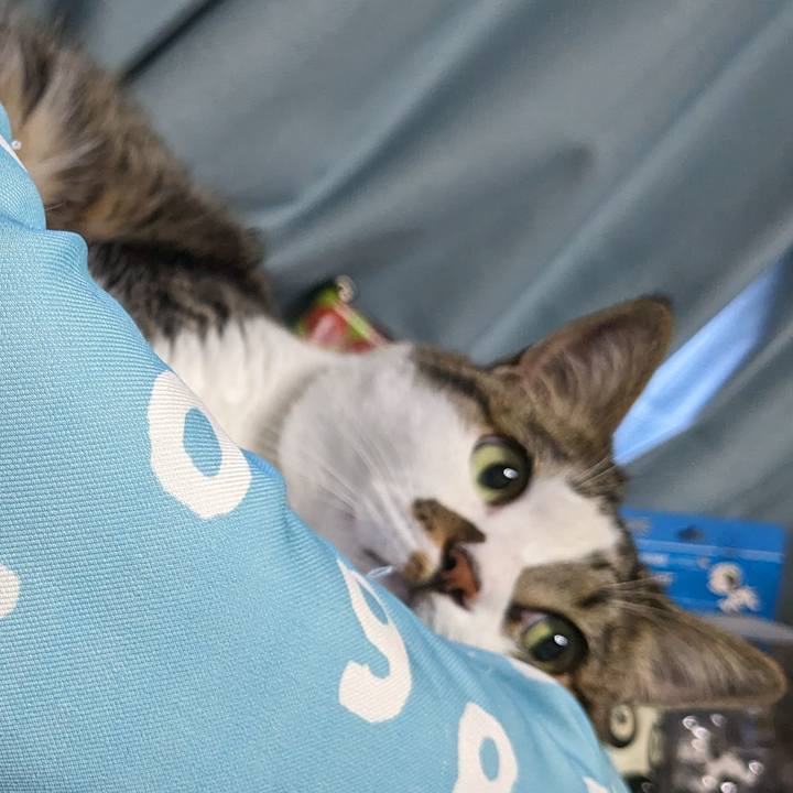 F0e860de 6761 4478 bb48 878c709ce362 1718409404919