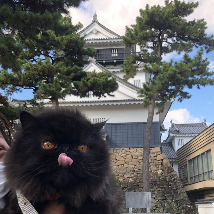 F0e8dadf 113b 4060 bedd b46d48f8bcf9 1635575580417