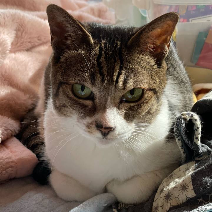 F0e91668 b69a 4089 ae50 7b4531e1c823 1635470602684