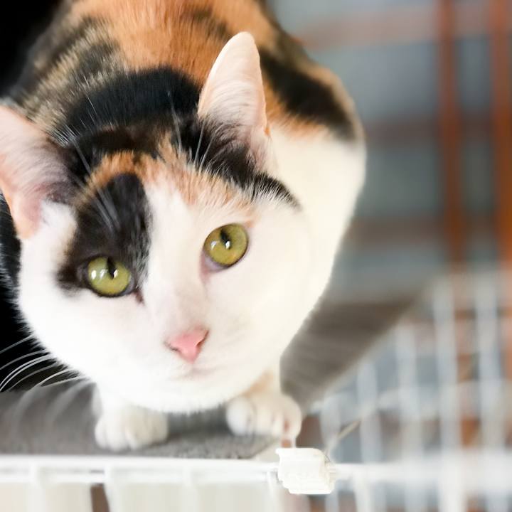 F0e9435b c967 46b3 a654 5cadb8d147de 1515730533066