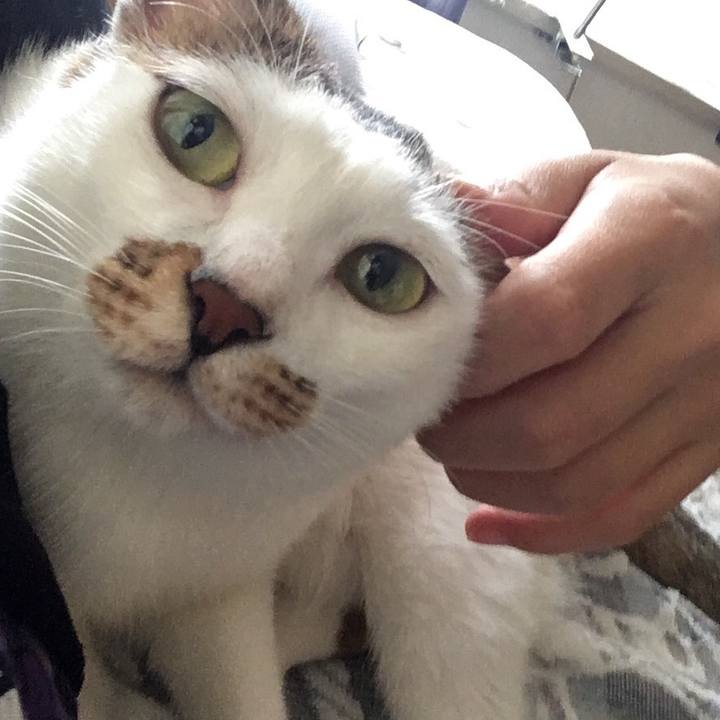 F0e9b768 c3d5 4991 b86a a1a47a1dbc6b 1535101570519