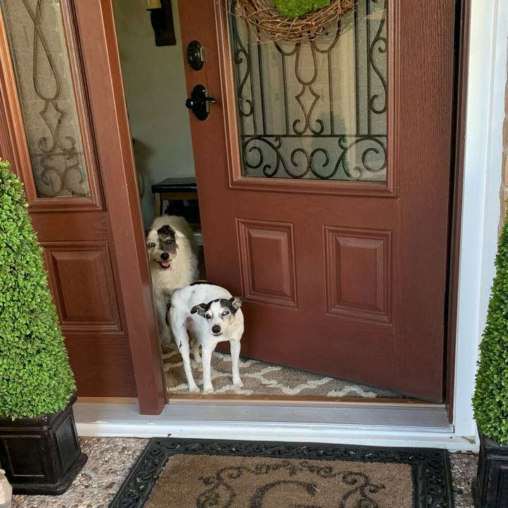 F0e9c8f2 2497 4021 a04d 8f306f22a20f 1649759215742