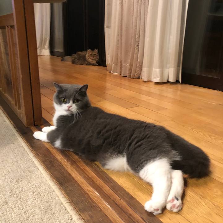 F0e9e2ec c5d9 4865 a78d 91aaf37d1cb9 1628596545985