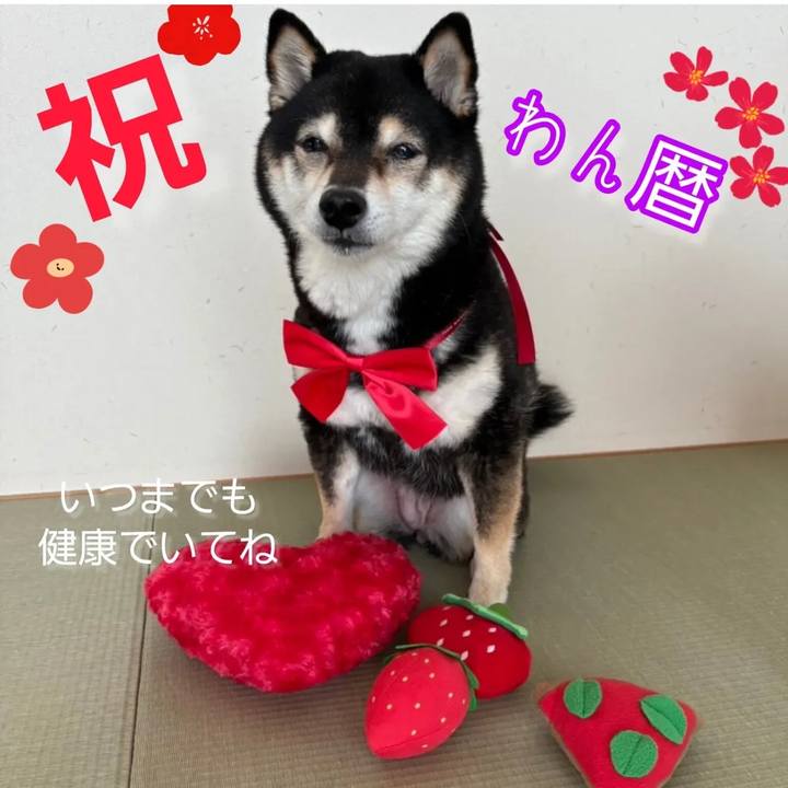 F0ea0084 7e3b 4923 b6a2 418812d4c11e 1756848397786