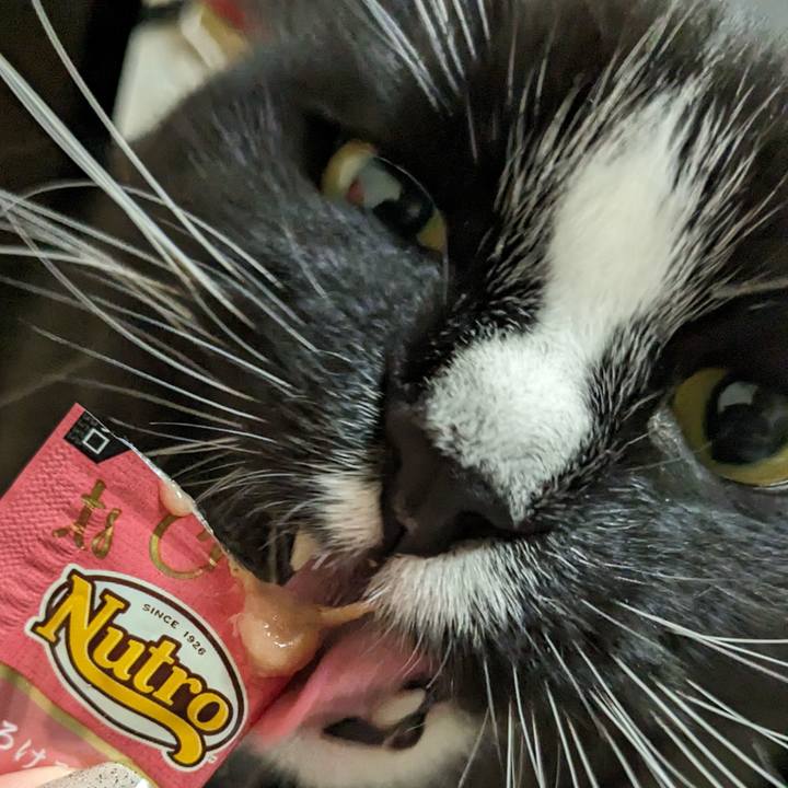 F0ea356c 67e1 4ada 9bd3 fa34a17068c4 1711591018006