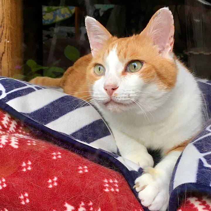 F0ea4f97 77ad 4024 9bd9 e3b332126432 1592866228814