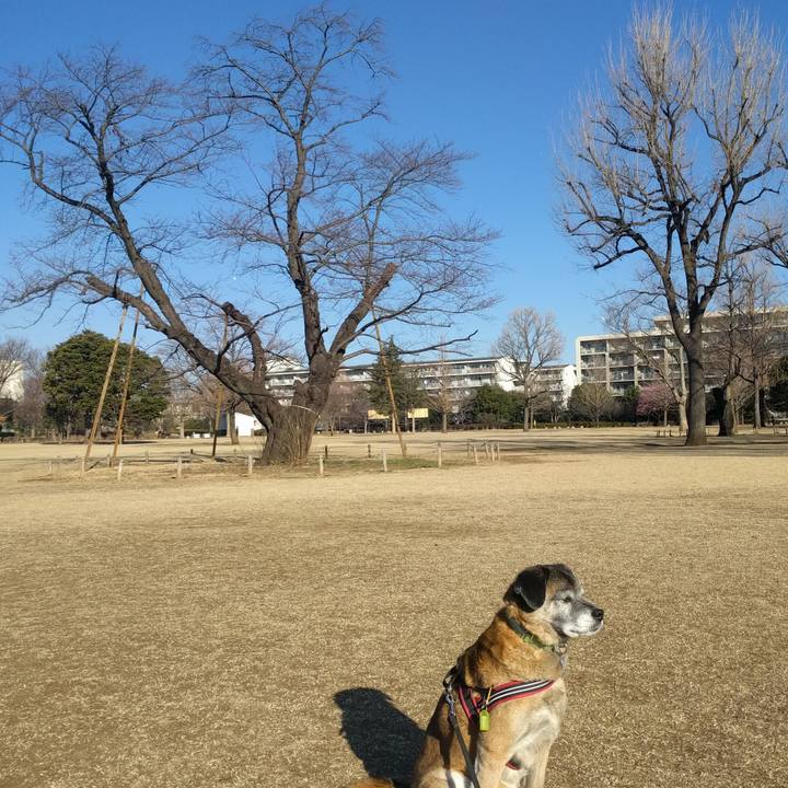 F0ea50ca 63aa 4e8e a9e3 0f4c30bb1509 1550448704251