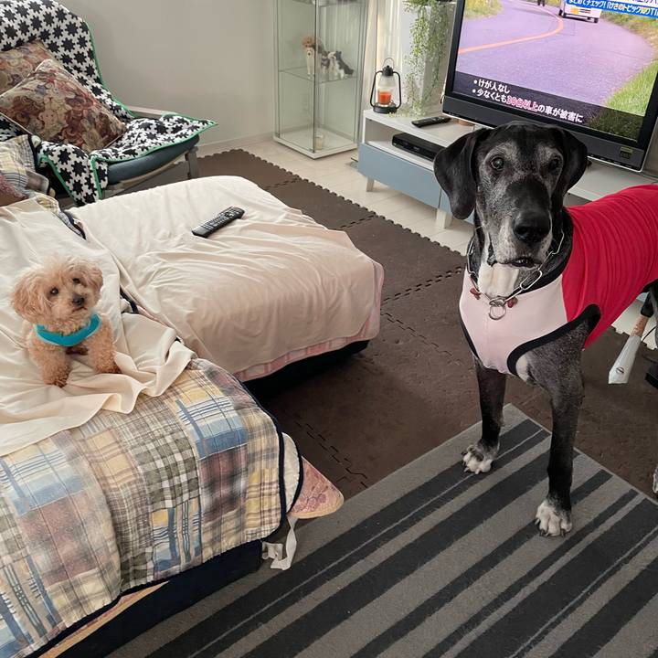 F0ea5b24 de50 4491 b874 e0d03b1a8c7b 1649805501264