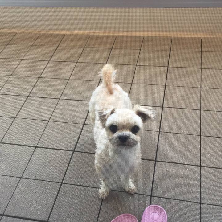 F0ea62d3 8555 4804 b455 0d26bba9b6e0 1529663886562