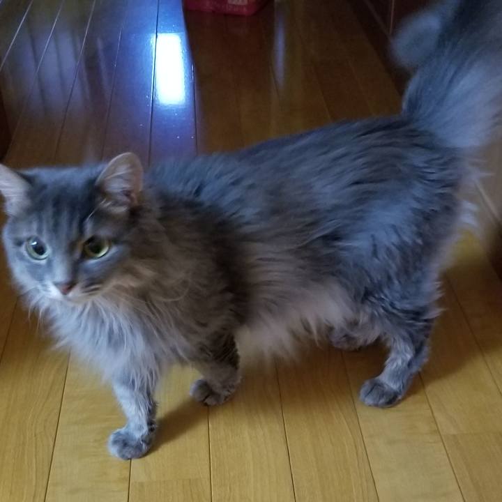 F0ea75c5 0ce7 41db b362 f93cf8ea44d4 1532063514026