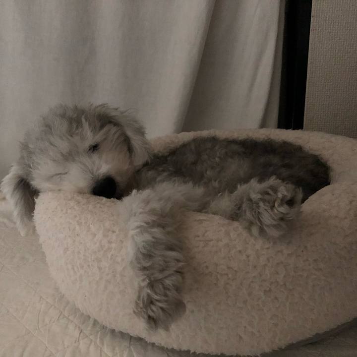 F0eab309 2561 47f9 94ff d9375babcc0d 1602668312250