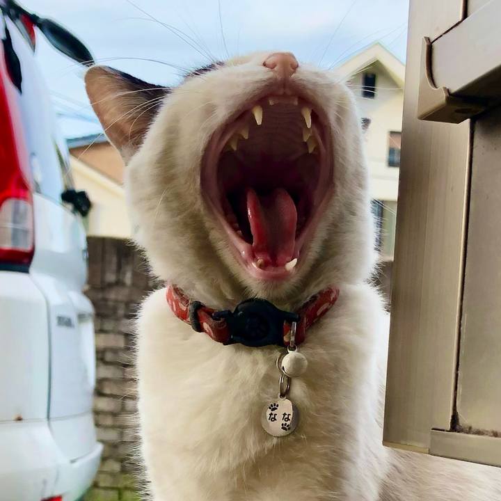 F0eabfaf 8868 4fea 9cf8 ceb56293e92d 1627035191712