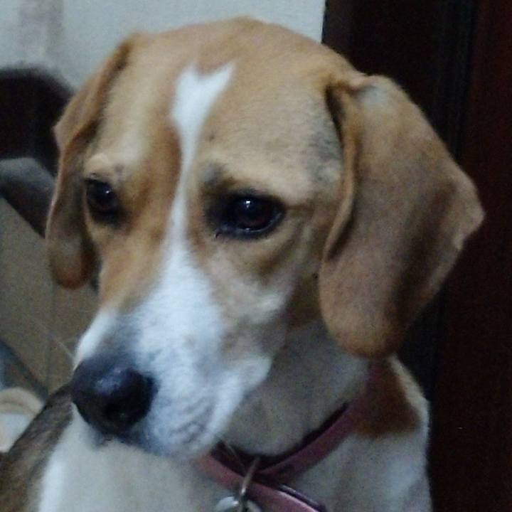 F0eacea5 1da7 477b acb9 7d4ecd4e251a 1578135719597