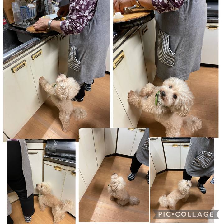 F0eae009 4de0 4089 a344 18bd100c166b 1633387451124