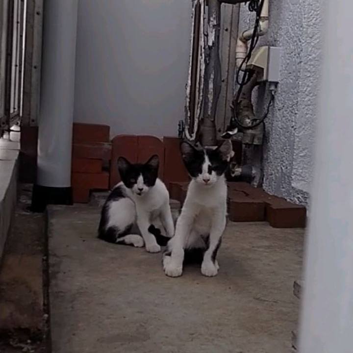 F0eafea0 0820 49e2 90a3 7f24fe7ec025 1626063923226