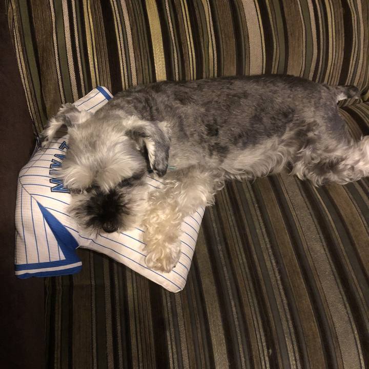 F0eb0645 5bea 4ea9 9cc0 4195854f43f7 1564574339992