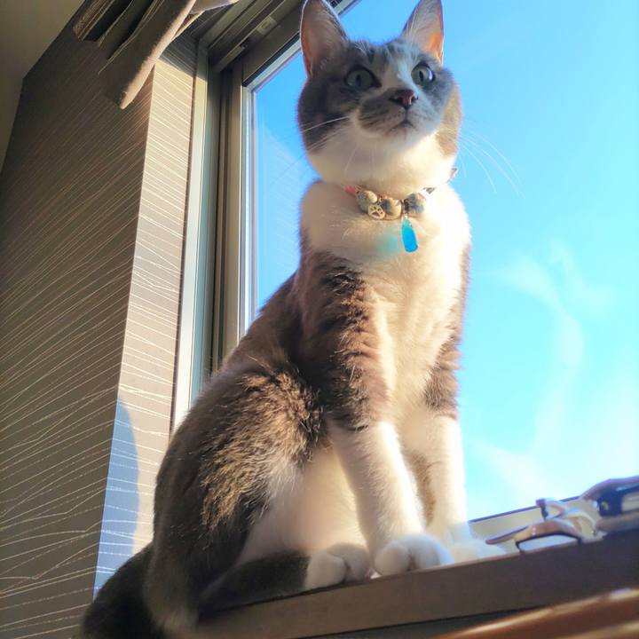 F0eb1a3f 09d8 40be aea2 76a2bd35a9f7 1689025829793