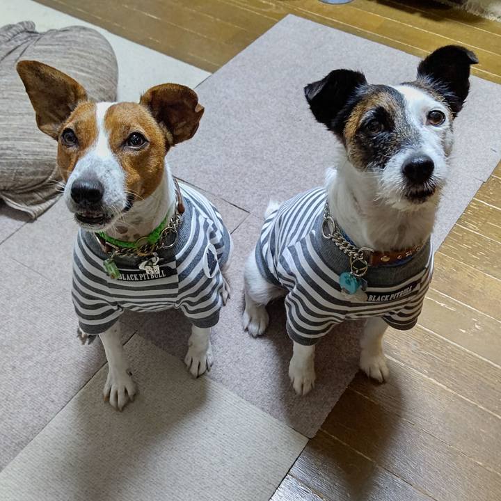 F0eb2471 2123 4e84 bd72 b730c4341d34 1625350006652