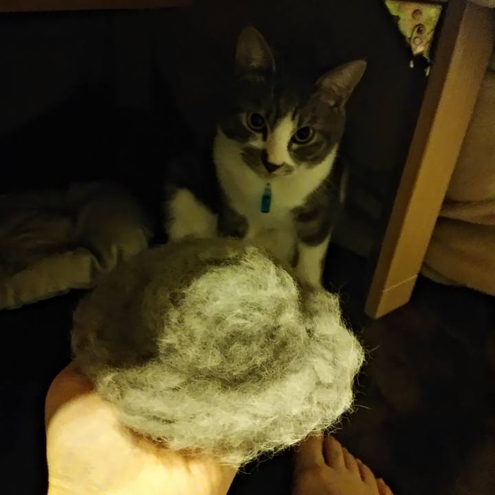 F0eb2e7f 5e5a 4c0f a8c7 fb341d00c87b 1582295881503