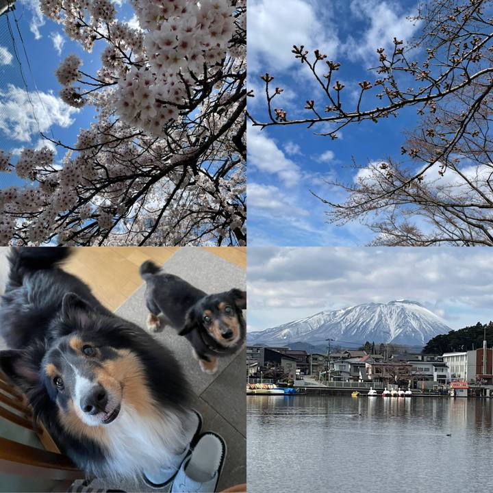 F0eb38a5 9a34 4112 9acc edca31a3327f 1618048224797