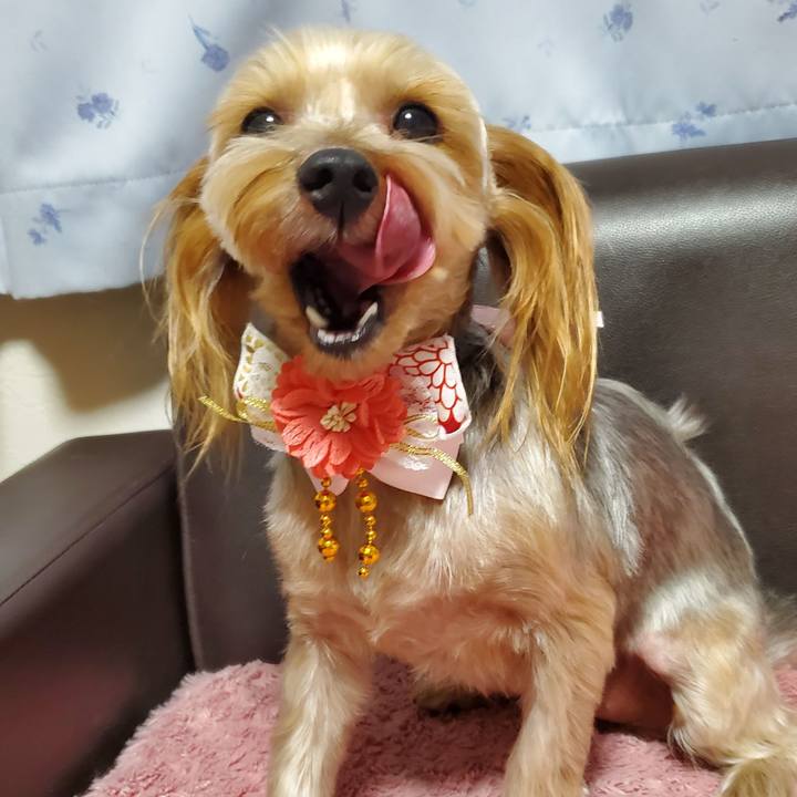 F0eba096 f82c 43c5 bec3 02c69f0bb7d2 1608989207953