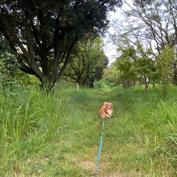 F0ebadad 6460 4ab5 8ff2 ad930ae8ba97 1597875627572