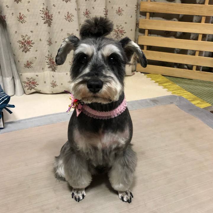 F0ebaed8 fffd 4222 846c e8be32efc445 1640255202569