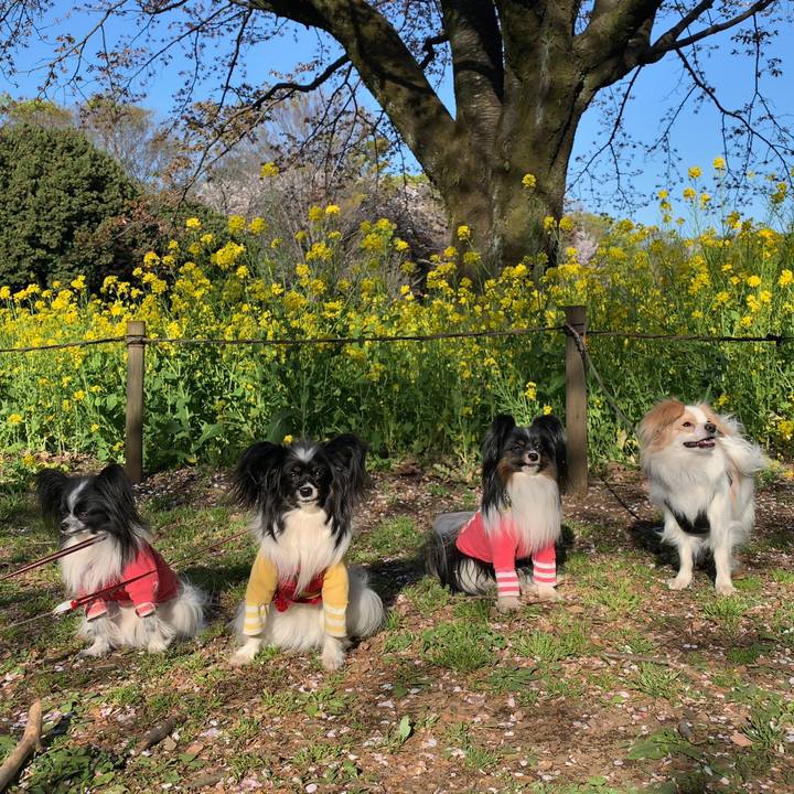 F0ebf80d 4417 4888 8e96 8cb9a50969fe 1555163602336