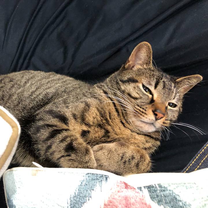 F0ec3b22 fffb 4bbd 858d 0a87b516a34a 1585035459599