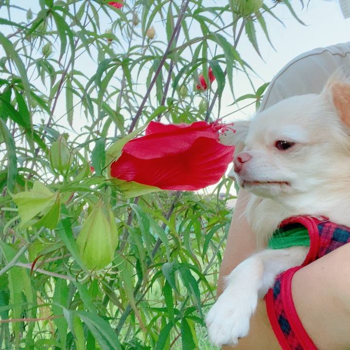 F0ec3b68 5620 4170 b98a 03e500bce63d 1627987875783