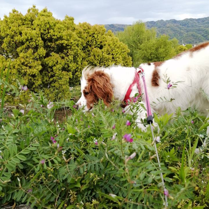 F0eccec7 6576 491a 8673 33ed779e2360 1588032692229