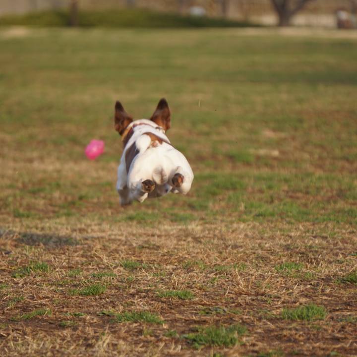 F0ed1631 2cc7 4293 9eb4 25d05c72f59c 1520981795357