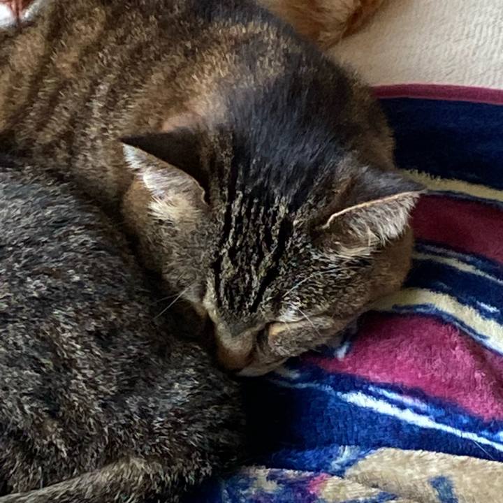 F0ed207b 9d64 498e bd8e 8365a5f148ad 1684960131399