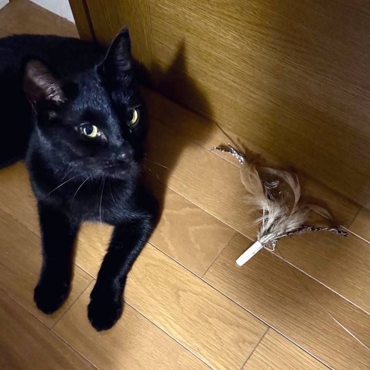 F0ed52e2 c544 4ff9 9890 a52e065172c4 1757457181385