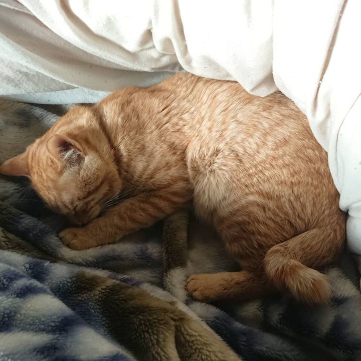 F0edaef9 6fcc 4167 bbc1 973edc3a3900 1650442619509