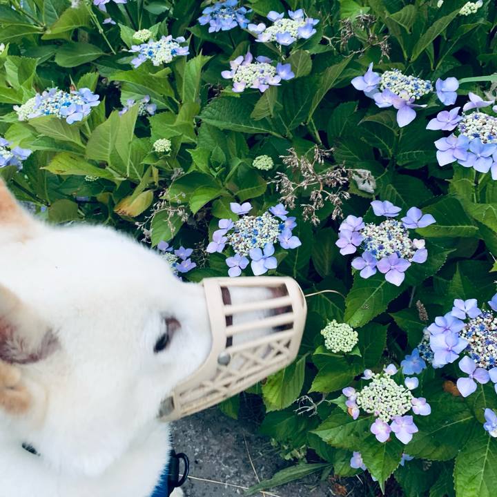 F0edc886 e5cc 4813 97d2 4bddd24fab6a 1626898411785