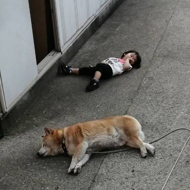 F0ede5e8 d66e 43d1 be30 771b8480390b 1654334530318