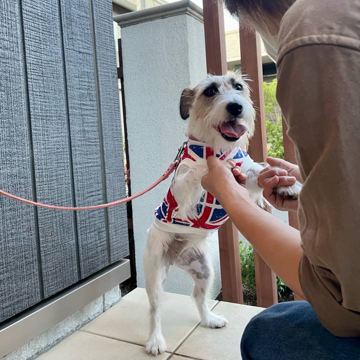 F0ee27a2 d7b4 4a79 b637 ff0a73d1d7d7 1661948788629