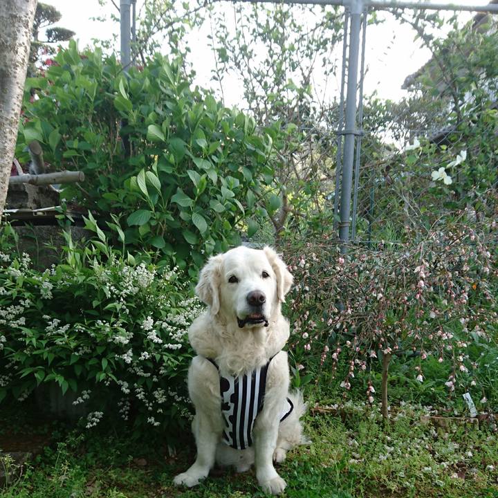 F0ee31c3 c267 4bfd a74b 322326cdc80e 1523787109684