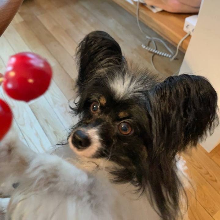 F0ee35b1 d758 46a5 bf7d 72b94f578a4b 1626042533880