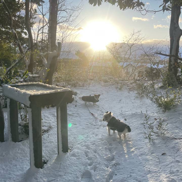 F0ee42ad 56d7 452c b26a 56efb2025ef1 1738797595224