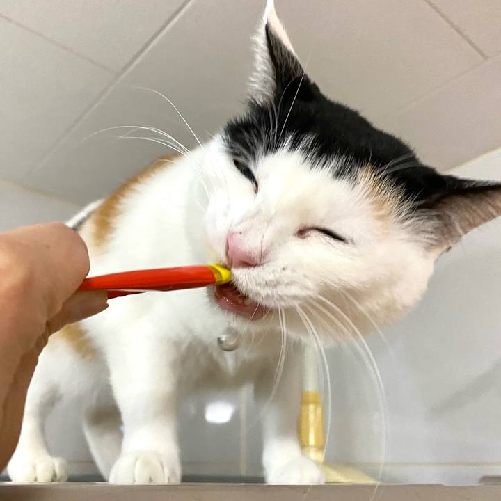 F0ee5241 fb7e 41db 9bac e0c080292ea0 1673960253319