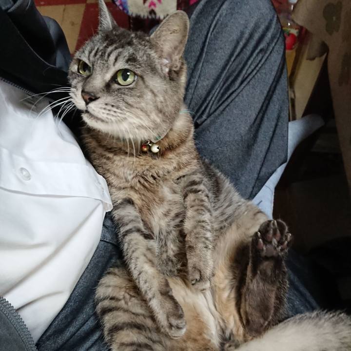 F0ee65b4 0300 40dc 8018 00a1e0d22b5d 1570675742800